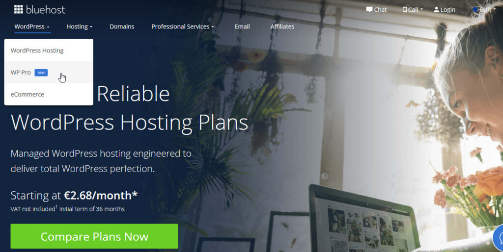 Selection of hosting packages: WordPress Hosting, WP Pro, ECommerce.