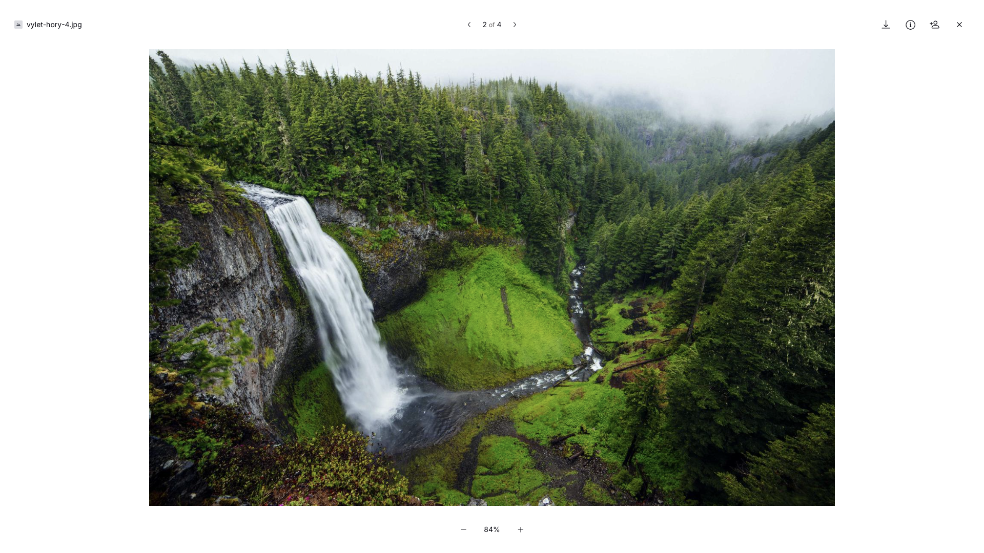 Photo preview right in the browser