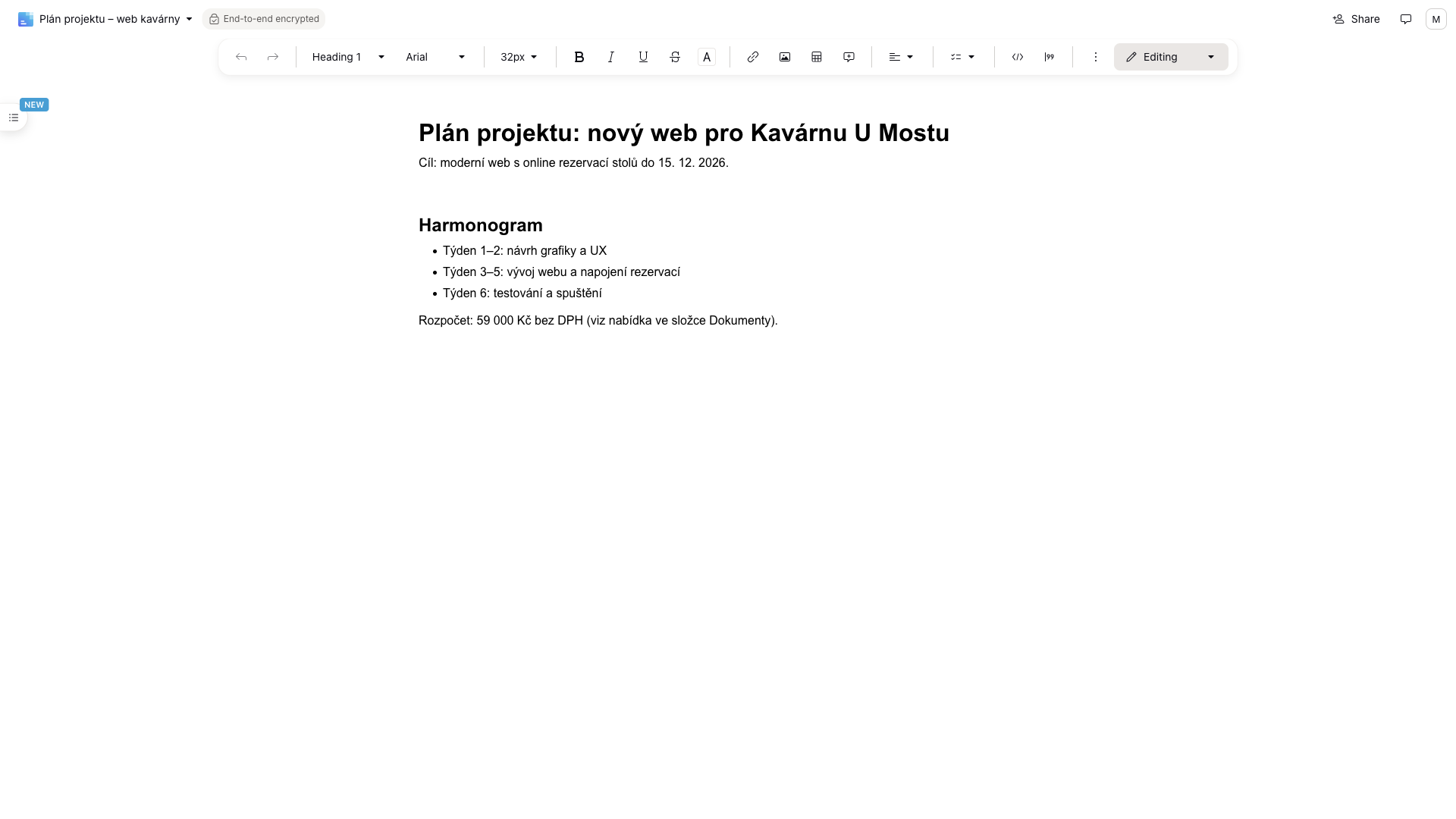 A document in Proton Docs